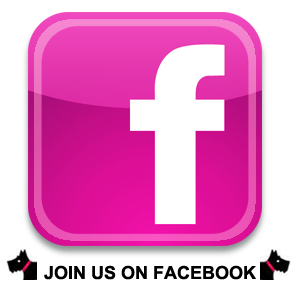 facebook logo Laura Bailey 2013