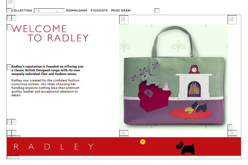 Radley website in 2003
