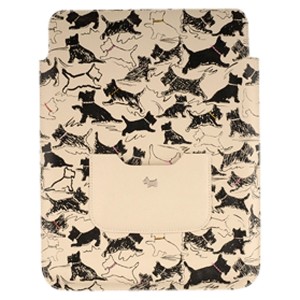 iPad Cover